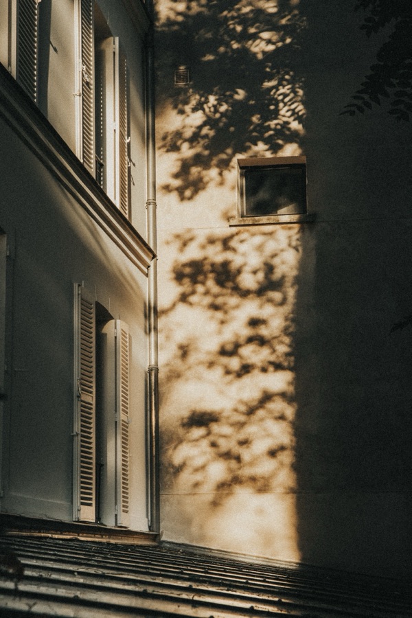 Société Française des Parfumeurs 103 — Société Française des Parfumeurs, par Hugo Gruter